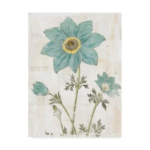 Sue Schlabach 'Bloemen Boek Iii' Canvas Art, 18x24, Trademark Fine Art, Mfr#: WAP08415-C1824GG